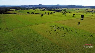 Farm For Sale - QLD - Ravenshoe - 4888 - An Udderly Moo-mentous Experience  (Image 2)