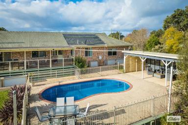 Farm For Sale - NSW - Bega - 2550 - Stunning Family Home with Acres, Shed, and Pool!  (Image 2)