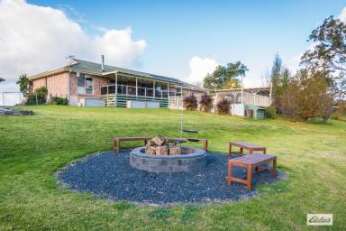 Farm For Sale - NSW - Bega - 2550 - Stunning Family Home with Acres, Shed, and Pool!  (Image 2)