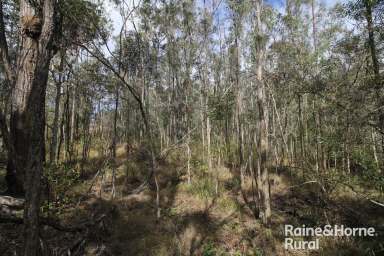 Farm Sold - QLD - Booie - 4610 - 7.16 Acre Bush Retreat  Block.  (Image 2)