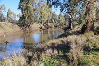 Farm Sold - NSW - Narrabri - 2390 - Productive Namoi River Block  (Image 2)