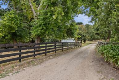 Farm For Sale - VIC - Dumbalk North - 3956 - 196 ACRES, TWO HOMES, EXTENSIVE SHEDDING!  (Image 2)