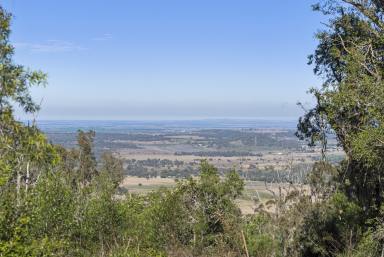 Farm For Sale - QLD - Stoneleigh - 4356 - Iconic Views, Endless Potential  (Image 2)