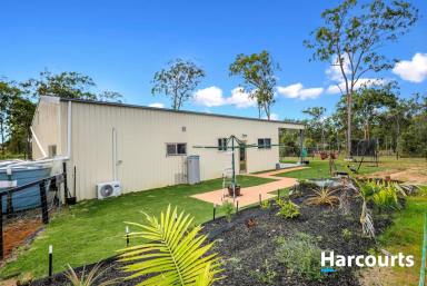 Farm For Sale - QLD - Redridge - 4660 - PERFECT RV BASE LOCATION  (Image 2)