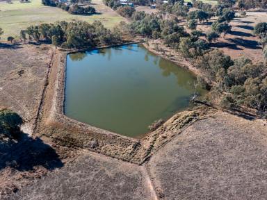 Farm For Sale - VIC - Carboor - 3678 - Auction Friday the 9th August 2024 at 11-30am if not sold prior  (Image 2)