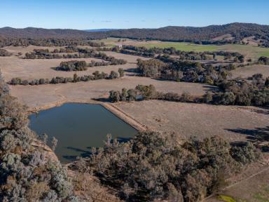 Farm For Sale - VIC - Carboor - 3678 - Auction Friday the 9th August 2024 at 11-30am if not sold prior  (Image 2)