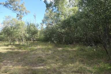 Farm For Sale - NSW - Bulldog - 2469 - THE SECRET FOREST  (Image 2)