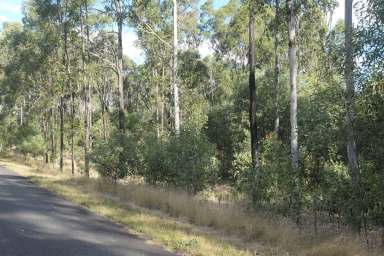 Farm For Sale - NSW - Bulldog - 2469 - THE SECRET FOREST  (Image 2)