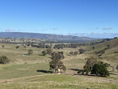 Farm For Sale - VIC - Koriella - 3714 - Now For Private Sale "Southview" 47 acres approx  (Image 2)