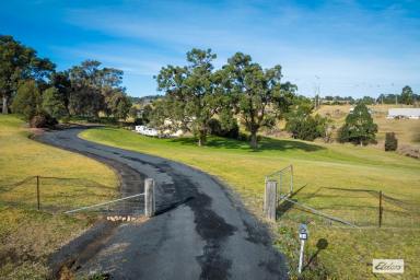 Farm Sold - NSW - Bega - 2550 - Versatile 3-Bedroom Home on Acreage in Bega  (Image 2)