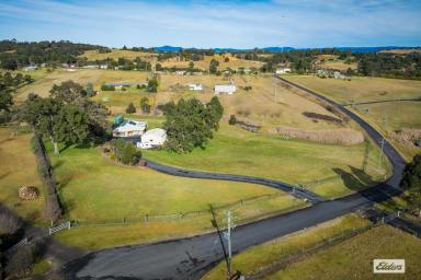 Farm Sold - NSW - Bega - 2550 - Versatile 3-Bedroom Home on Acreage in Bega  (Image 2)