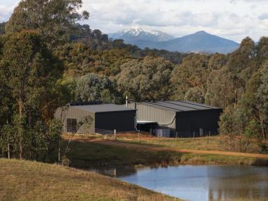 Farm For Sale - VIC - Mansfield - 3722 - Mount Buller Lifestyle Property on 120 Acres with Gin & Whiskey Distillery: A Unique Blend of Country Charm and Opportunity  (Image 2)