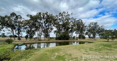 Farm For Sale - QLD - Dalby - 4405 - PARADISE FOUND  (Image 2)