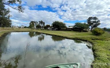 Farm For Sale - QLD - Dalby - 4405 - PARADISE FOUND  (Image 2)