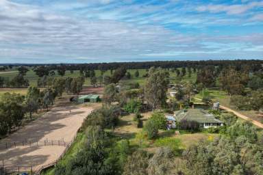 Farm For Sale - NSW - The Rock - 2655 - Country lifestyle in renown farming area  (Image 2)