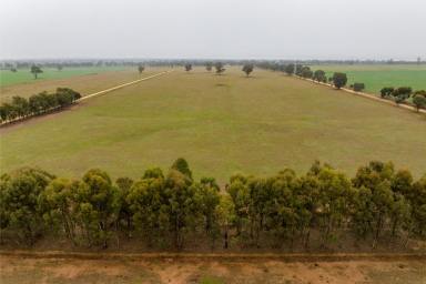 Farm For Sale - NSW - The Rock - 2655 - Country lifestyle in renown farming area  (Image 2)