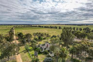 Farm For Sale - NSW - The Rock - 2655 - Country lifestyle in renown farming area  (Image 2)