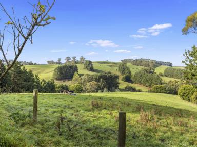 Farm For Sale - VIC - Mount Eccles - 3953 - Views of Mount Eccles  (Image 2)