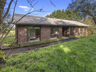 Farm For Sale - VIC - Mount Eccles - 3953 - Views of Mount Eccles  (Image 2)