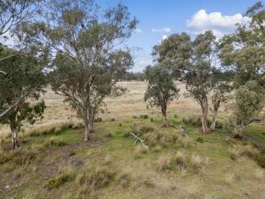 Farm Sold - QLD - Karara - 4352 - Relax and unwind... the ultimate weekend escape!  (Image 2)