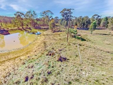 Farm For Sale - NSW - Dubbo - 2830 - Affordable Rural Retreat  (Image 2)