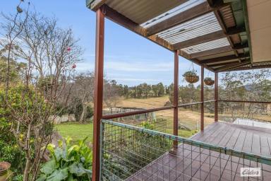 Farm For Sale - NSW - Wyndham - 2550 - Countryside Home on 14.5 Acres in Wyndham  (Image 2)