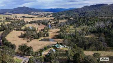 Farm For Sale - NSW - Wyndham - 2550 - MOVTIVATED VENDORS - WANT PROPERTY SOLD  (Image 2)