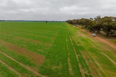 Farm For Sale - NSW - Milbrulong - 2656 - Excellent turn key add on or starter opportunity  (Image 2)