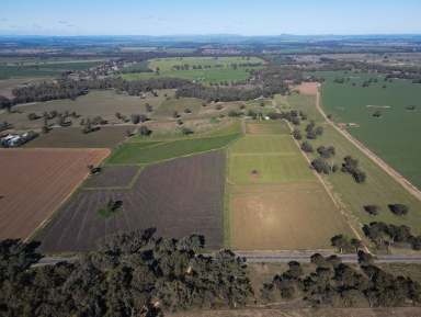 Farm For Sale - NSW - Forbes - 2871 - Production, Scale and Close proximity to Forbes  (Image 2)