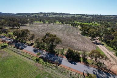 Farm For Sale - WA - Mokine - 6401 - Tranquill Rural Lifestyle - Mokine                                           2.75ha (6.79acres)  (Image 2)