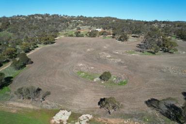 Farm For Sale - WA - Mokine - 6401 - Tranquill Rural Lifestyle - Mokine                                           2.75ha (6.79acres)  (Image 2)