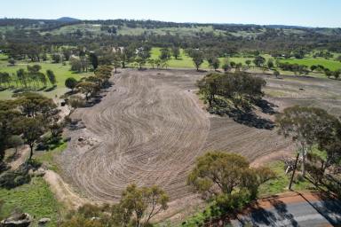 Farm For Sale - WA - Mokine - 6401 - Rural Escape on Leeder Rd                                                            2.75ha (6.79acres)  (Image 2)