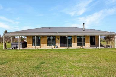 Farm For Sale - VIC - Forge Creek - 3875 - Start Living Your Dream  (Image 2)