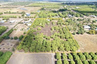 Farm For Sale - QLD - Mount Kelly - 4807 - 4.94 Acres with Shed and Town Water - Mt Kelly  (Image 2)