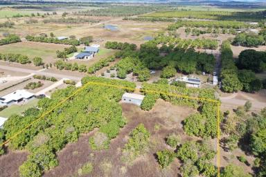 Farm For Sale - QLD - Mount Kelly - 4807 - 4.94 Acres with Shed and Town Water - Mt Kelly  (Image 2)