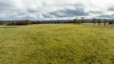 Farm For Sale - NSW - Wongwibinda - 2350 - High Rainfall Grazing  (Image 2)