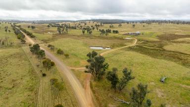 Farm For Sale - NSW - Wongwibinda - 2350 - High Rainfall Grazing  (Image 2)