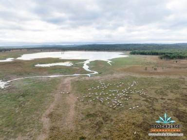 Farm Expressions of Interest - QLD - Charters Towers - 4820 -  Productive Fattening and Breeding Country  (Image 2)