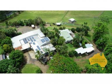 Farm For Sale - QLD - Valdora - 4561 - Massive rental potential!  (Image 2)