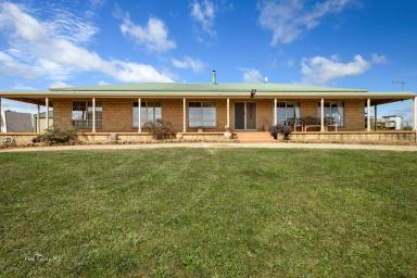 Farm For Sale - TAS - Calder - 7325 - Fabulous Farm Let  (Image 2)