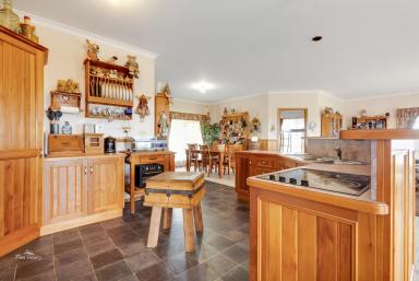 Farm For Sale - TAS - Calder - 7325 - Fabulous Farm Let  (Image 2)