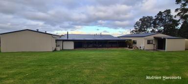 Farm For Sale - WA - Kordabup - 6333 - Secluded Farming Property on the Pristine South Coast!  (Image 2)