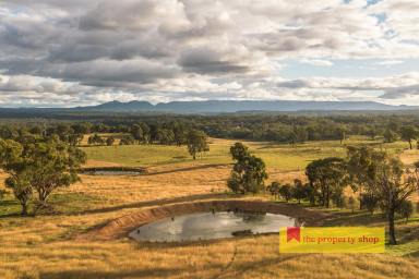 Farm For Sale - NSW - Rylstone - 2849 - "ARDMOHR" YOUR PIECE OF PARADISE  (Image 2)