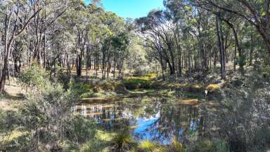 Farm For Sale - NSW - Watsons Creek - 2355 - ESCAPE TO A RURAL LIFESTYLE RETREAT  (Image 2)