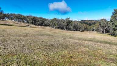 Farm For Sale - NSW - Watsons Creek - 2355 - ESCAPE TO A RURAL LIFESTYLE RETREAT  (Image 2)