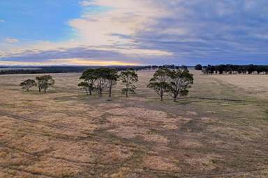 Farm For Sale - WA - Drome - 6330 - What Will You Build?  (Image 2)