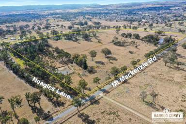 Farm For Sale - NSW - Tenterfield - 2372 - 'Fairview' - Opportunity Knocks.....  (Image 2)