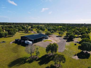 Farm Sold - QLD - North Isis - 4660 - PEACEFUL 65 ACRES WITH THE LARGE SHED WE ALL WANT  (Image 2)