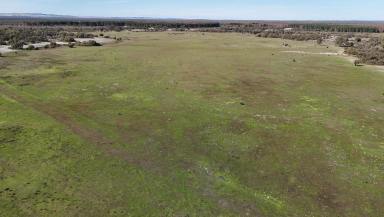 Farm For Sale - WA - Mimegarra - 6507 - BROWNFIELD AGRICULTURAL DEVELOPMENT SITE  (Image 2)