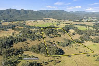 Farm Sold - NSW - Stroud - 2425 - ABSOLUTE SERENITY WITH VALLEY VIEWS!  (Image 2)